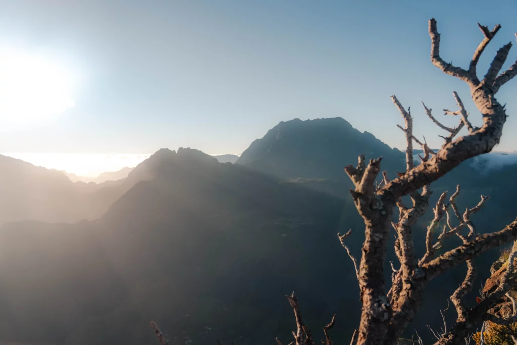 Réunion – 75