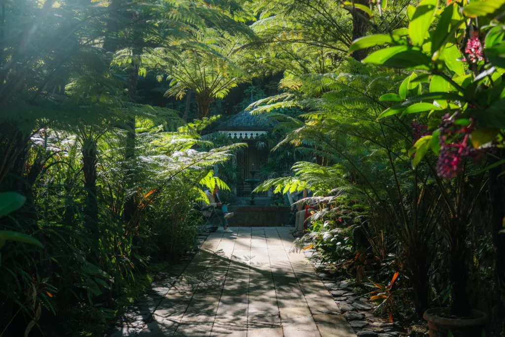 Réunion – 82