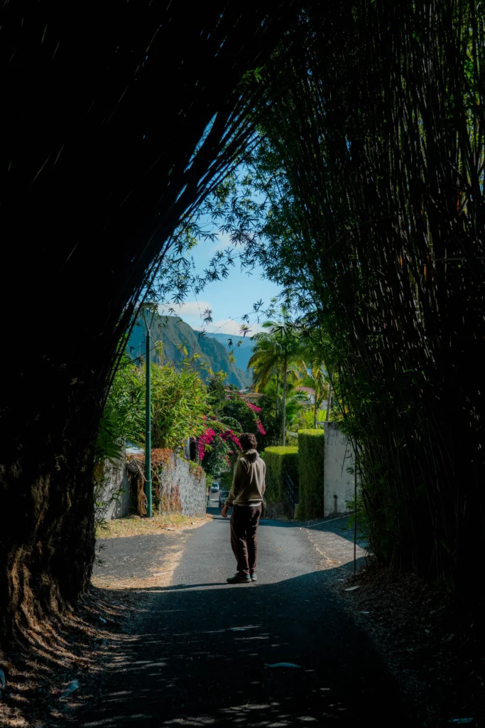 Réunion – 85