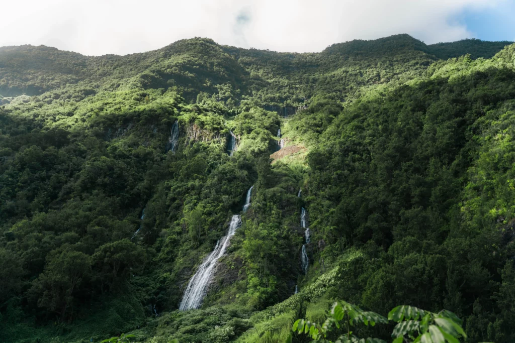 Réunion – 87