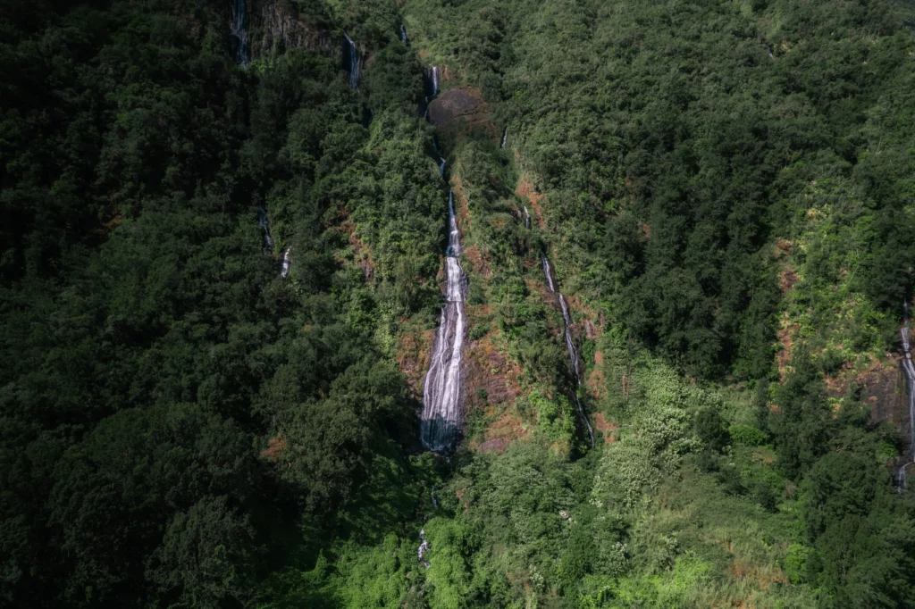 Réunion – 9