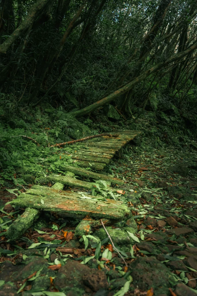 Réunion – 94