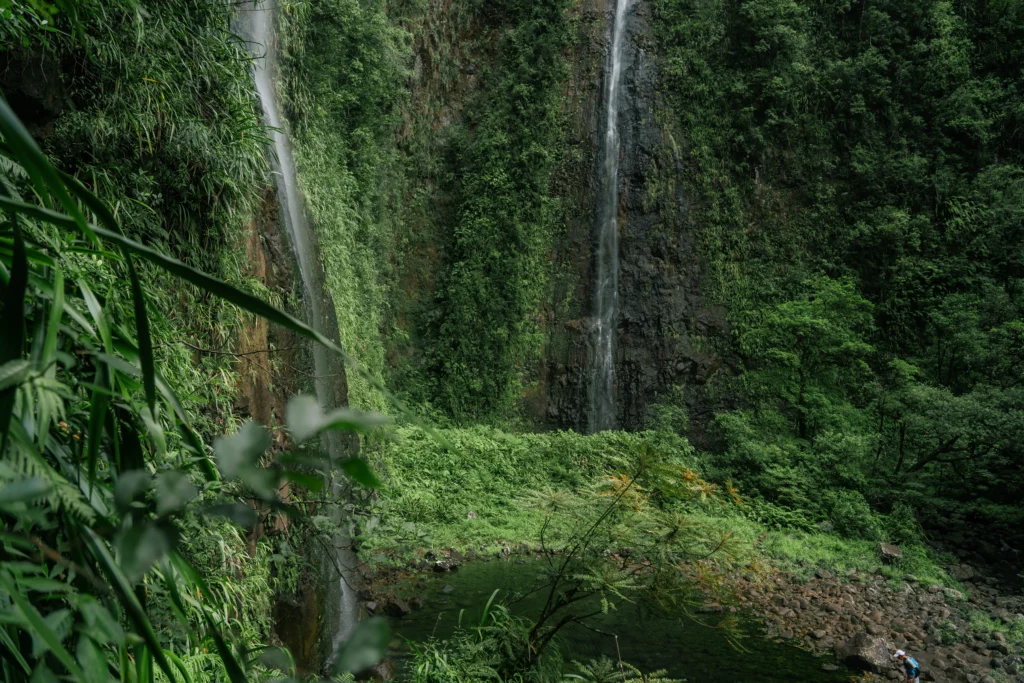 Réunion – 96