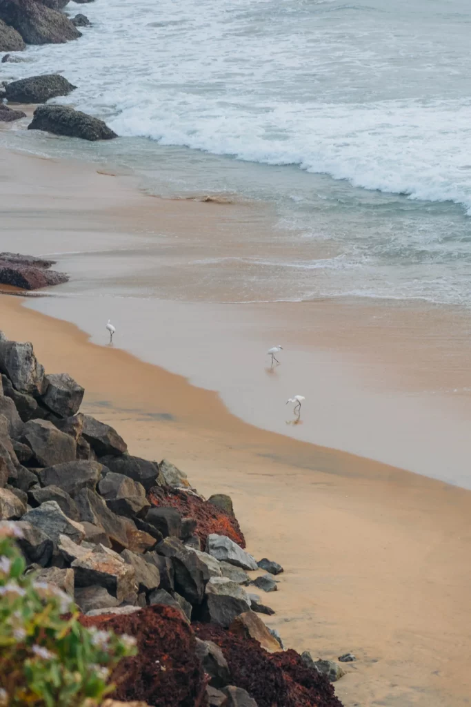 Varkala – 128