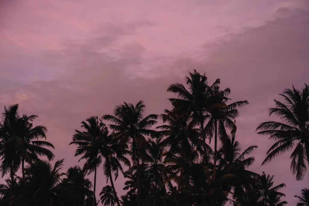 Varkala – 138
